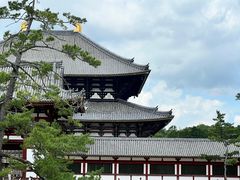 -奈良公园