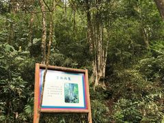 -广州市石门国家森林公园