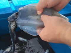 -玫瑰海岸文化旅游度假区
