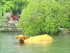 -西湖天地