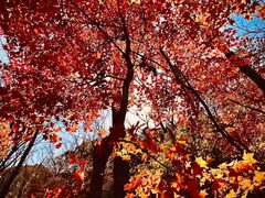 -玉渡山自然风景区