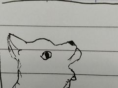 -Together·泰式按摩精油SPA(虹桥店)