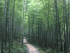 -南山风景名胜区