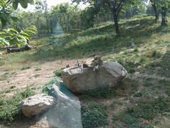 -西安秦岭野生动物园