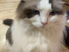 -白兔子密室(长寿路店)