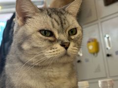 -平行世界·猫咖(首经贸店)
