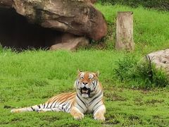 -沈阳森林动物园