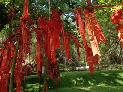 -广州白江湖森林公园