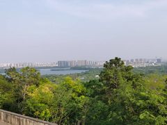 -苏州上方山国家森林公园
