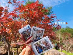 -广州市帽峰山景区
