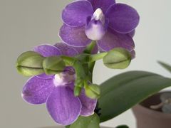 -番禺广场(市桥街道)