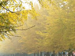 -辽宁大学(崇山校区)