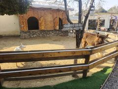 -HERRE·FARM 赫尔露营农场·团建聚会包场