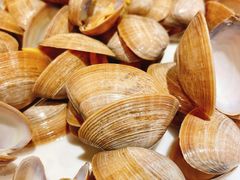 丹东黄蚬子-百味源炭火烤翅 ·夜市大排档(酒仙桥店)