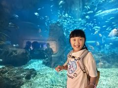 -海合安武汉极地海洋公园