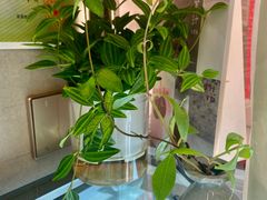 -美丽心情蛋糕(江苏路店)