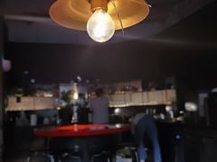 -毛辣果·酸