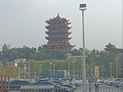 -武汉大学-樱园
