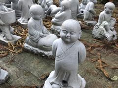 -武陵山森林公园