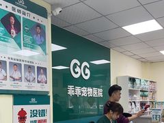 -乖乖宠物医院·猫科·急重症中心(车站北路分院)