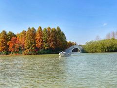 -上海海湾国家森林公园