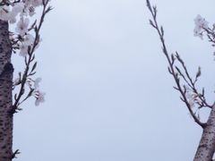 -幕燕滨江·长江观音景区