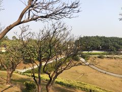 -广州莲花山旅游区
