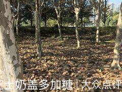 -白塘生态植物园