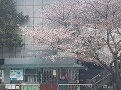 -南浦大桥长途旅游客运站