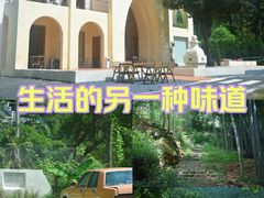 -龙坞茶村