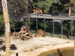 -云南野生动物园