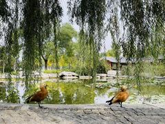-河北省园博园