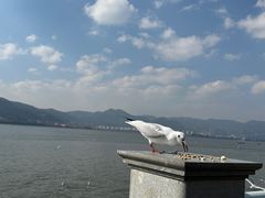 -海埂大坝