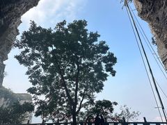 -抱犊寨风景区