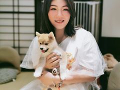 -逗柴咖啡屋·狗咖猫咖宠物桌游