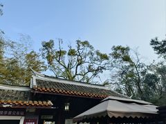 -岳麓山风景名胜区