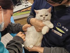 -美迦爱-牙专科·兔科·骨科诊疗中心(北苑店)