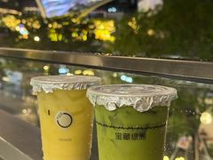 -宝藏绿洲(万象前海店)