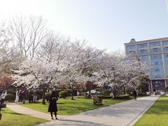 -复旦大学光华楼