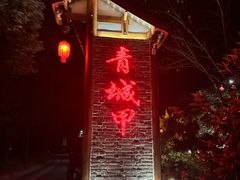 -青城甲(青城山店)