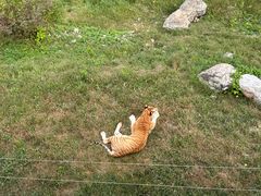 -济南野生动物世界