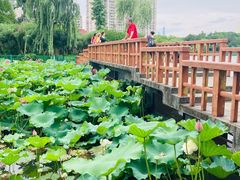 -黄兴公园