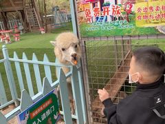 -清境桃源