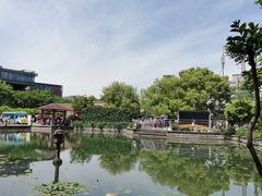 -嘉定紫藤园