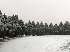 -秦始皇帝陵博物院-丽山园