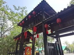 -合肥滨湖国家森林公园