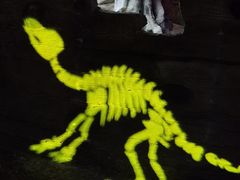 -多彩贵州城极地海洋世界