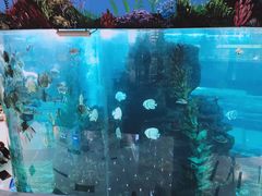 -鸿通城购物中心