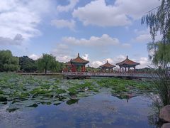 -长春市南湖公园