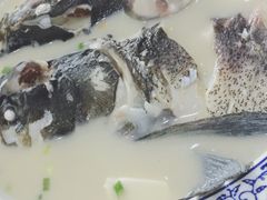 -全乐鱼馆·淳牌有机鱼直营店